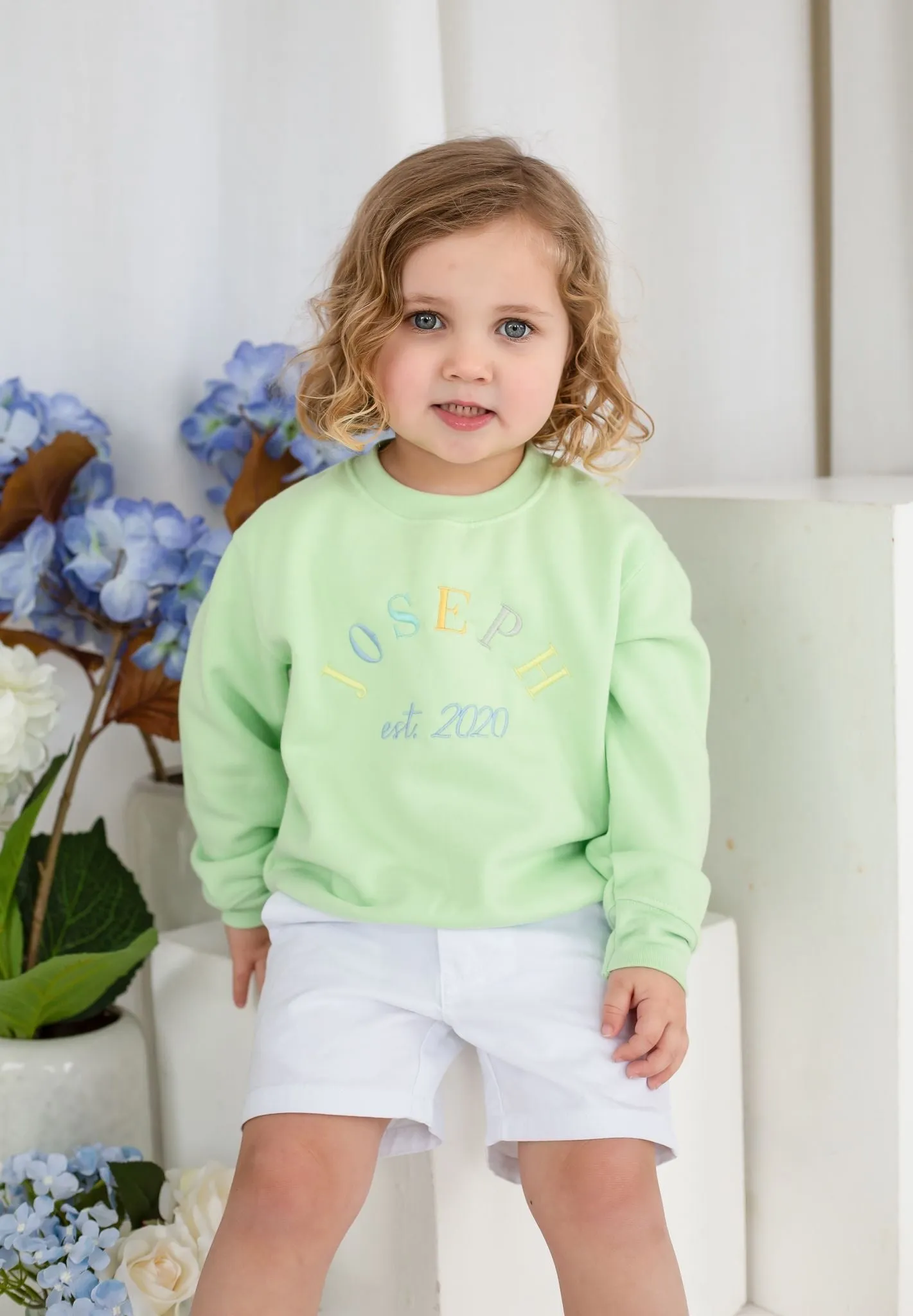 Boys Pistachio Est Sweater