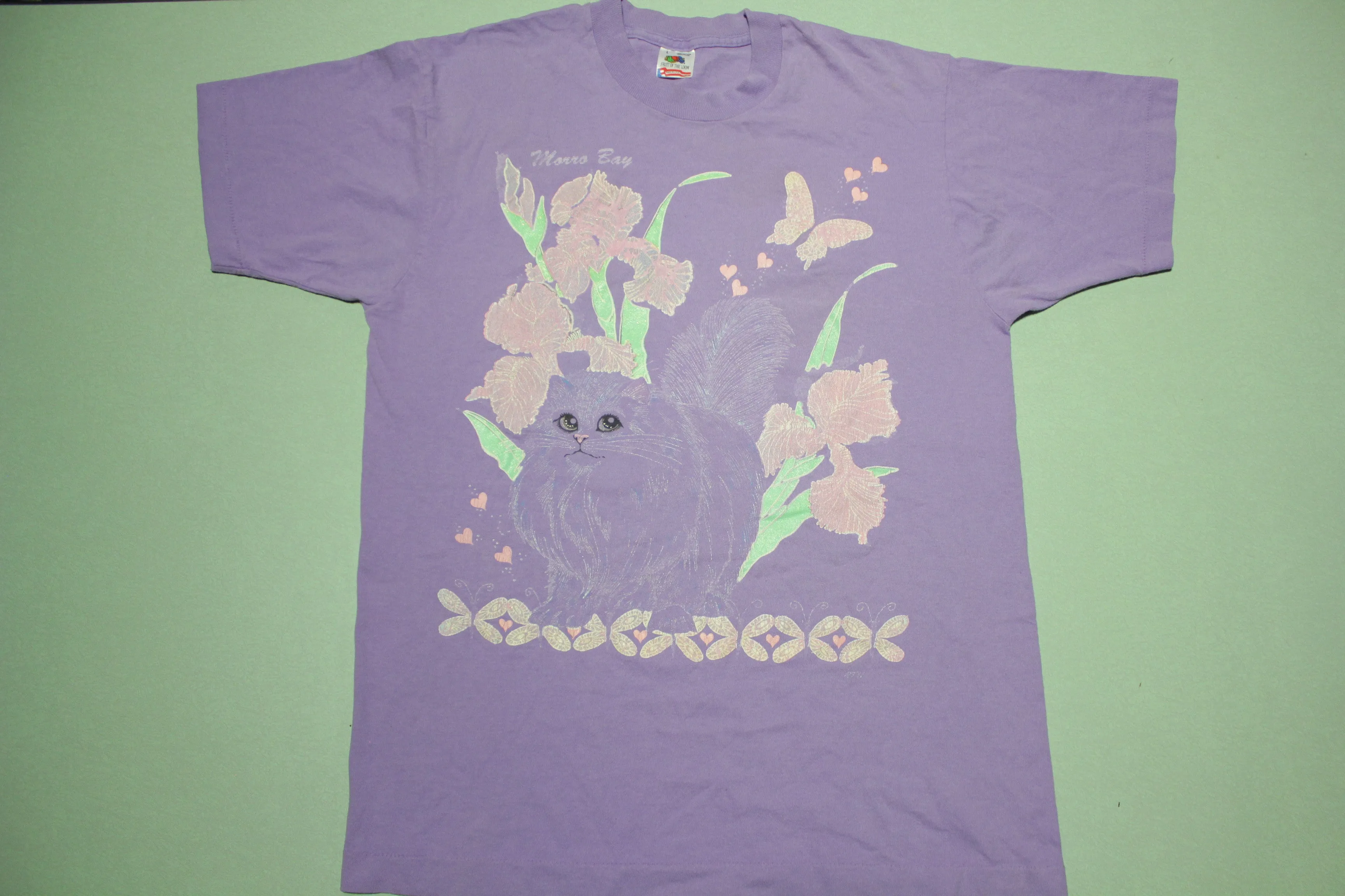 Morro Bay Sparkle Glitter Purple FOTL USA Vintage Cat T-Shirt